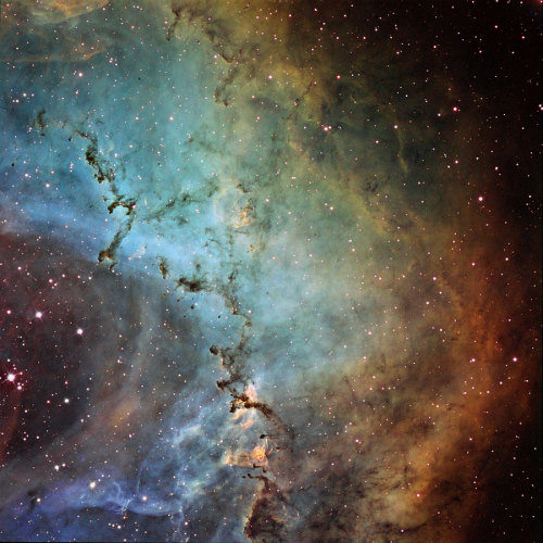 tothrobertjonas:

fuckyeahtheuniverse:

rosette nebula is the tits.

welcome back, fytu!

 ill try and post more.
ive been supa dupa lazy